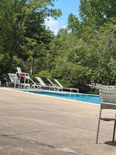 The image depicts a swimming pool located outdoors, with a row of white lounge chairs beside it. Lush green trees surround the pool area. In the background, there are hints of buildings partially obscured by the greenery. The pool itself has a blue tiled edge. The location is likely within the city of Edison, United States of America, based on the prompt. The environment is sunny, and the scene appears to be serene and recreational. No people are visible in the image.