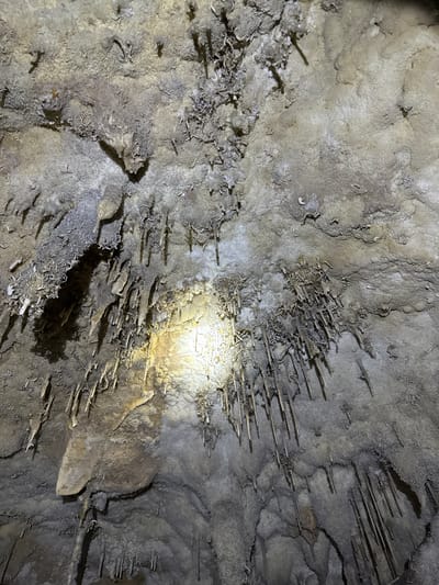 This is an eye-level, wide shot of the ceiling of a cave in Khao Phang, Thailand. The cave ceiling is covered in stalactites of various lengths and thicknesses, appearing as rough, natural formations. The rock is predominantly gray and brown, with patches of white and yellow highlighting certain areas, possibly from mineral deposits or a light source. The texture of the cave ceiling is varied, with some smoother, rounded sections and other areas displaying a more porous, almost crystalline appearance. There are no people or animals visible in the image. The lighting is dim, with a concentrated bright yellow light source in the lower-middle section of the image, illuminating a cluster of stalactites. The overall impression is one of a natural, geological formation within an underground environment.