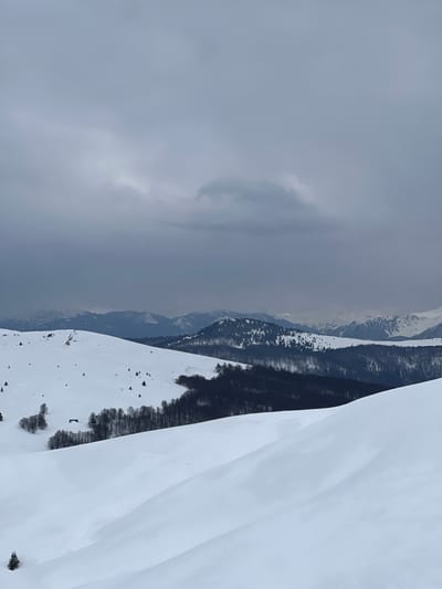 The image depicts a vast, snow-covered mountainous landscape located in the vicinity of Katun Bačko brdo, Montenegro, under an overcast sky. The upper third of the frame consists of a uniformly gray, cloudy sky with minimal definition. The foreground is comprised of pristine, undulating snow, showing subtle depressions and crests, with a single small coniferous tree visible in the lower left corner. The midground features a prominent snow-covered ridge sloping downward from left to right, bordered by a dense line of bare deciduous trees and interspersed conifers forming a dark band across the middle of the scene. A small, dark-roofed structure, likely a hut, is partially visible amidst the snow and trees in the middle-left section. In the background, multiple layers of snow-capped mountain ranges extend into the distance, appearing progressively lighter and more indistinct. No individuals, animals, or active movements are present. The scene conveys a remote, untouched winter environment.