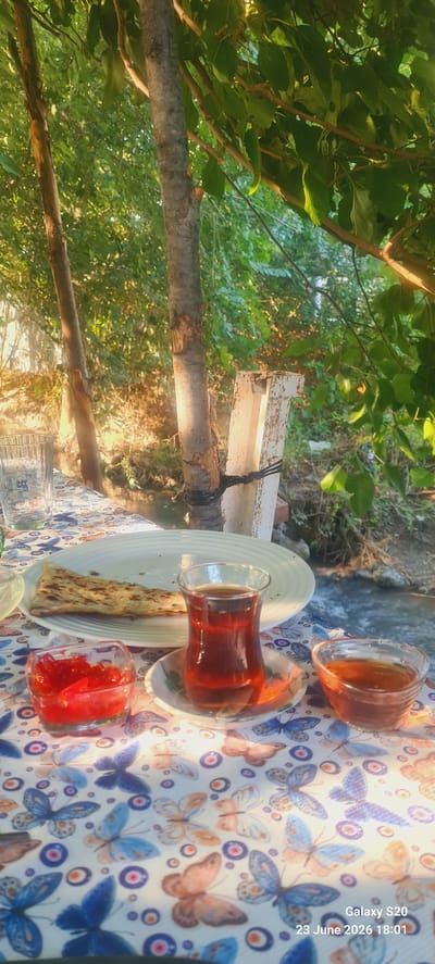 This media file captures a serene outdoor scene, likely in Ortaca, Turkey. The primary subjects are two glasses of tea, one full and the other partially consumed, presented on a table covered with a colorful cloth adorned with butterfly patterns. A flatbread or pastry rests on a white plate, positioned between the glasses. A small glass container holds a red preserve, possibly jam or fruit compote. The setting appears to be a natural, possibly riverside or garden environment, with lush green foliage and tree branches framing the composition. Sunlight streams through the leaves, creating dappled light and highlighting the textures of the tree bark and the drinks.

The time of day appears to be late afternoon or early evening, indicated by the warm, golden quality of the light. The weather seems pleasant, conducive to an outdoor refreshment. The overall mood is one of tranquility and relaxation, suggesting a moment of quiet enjoyment.

Visible text on the right side of the image reads "Galaxy S20 23 June 2026 18:01", which is likely a timestamp and device identifier from the photograph's metadata. There are no people visible in the frame. The rustic elements, such as the weathered tree trunk and the simple white plate, contrast with the delicate butterfly pattern of the tablecloth, creating an eclectic yet inviting aesthetic.