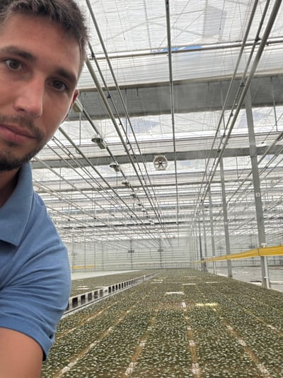 A selfie taken by a man in a blue polo shirt inside a large greenhouse. He is positioned on the left side of the frame, his face partially visible and looking directly at the camera. The background shows rows upon rows of small plants growing on elevated beds that stretch into the distance. The greenhouse structure is characterized by a complex network of metal beams and pipes supporting a translucent roof. A yellow barrier runs along the right side of the greenhouse. The scene suggests a commercial horticulture operation, likely in Maasdijk, Netherlands, a region known for its extensive greenhouse cultivation.