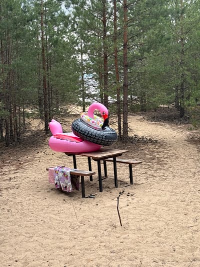 In the sandy clearing of a pine forest, a pink inflatable flamingo rests on a weathered wooden picnic table. The flamingo is adorned with a black tire and a colorful ring float around its neck. To the left of the flamingo, a picnic table bench displays a pink towel and a unicorn-patterned blanket. The ground is covered in sand, scattered with pinecones and a solitary twig protruding from the earth. The surrounding environment consists of a dense pine forest with tall, slender trees. The scene appears to be located in the city of Kzyl-Bairak, Russia.