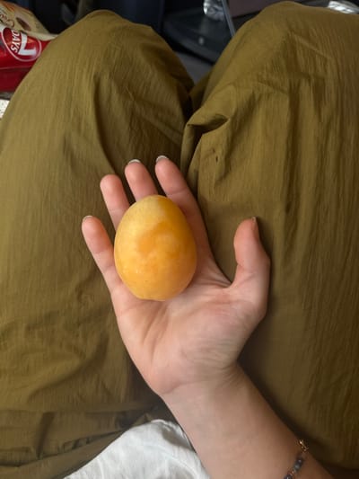 A close-up shot captures a hand holding a single apricot. The apricot is a soft, peachy-orange color, slightly round with a smooth surface. The hand, with light skin and neatly trimmed fingernails, cradles the fruit. The background is dominated by the textured fabric of clothing, appearing to be a dress or skirt in a muted olive-green hue. Folds and creases in the fabric create a sense of depth and dimension. In the lower left corner, a portion of a red package with some visible text is present. The text includes "DAYS" and what appears to be the word "Cross" above it. A bracelet with beads of various colors, including blue and pink, adorns the wrist. The lighting suggests an indoor setting, likely during the daytime. The scene conveys a simple, intimate moment of holding a piece of fruit.