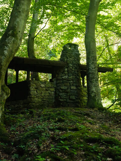 The image depicts a stone structure with a chimney, possibly a former shelter or ruins, situated within a dense, green forest. The structure is made of rough-hewn stones and has a wooden roof. The surrounding ground is covered with moss, fallen leaves, and small plants. Tall trees with lush green foliage create a canopy overhead, dappling the scene with sunlight. The atmosphere is one of natural decay and quietude. The structure is located in the city of Teteven, Bulgaria. There are no people or animals visible in the image.