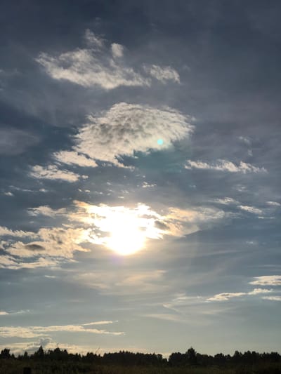 A low-angle, vertical shot captures a dusky sky over a silhouetted line of trees in Staroe Istomino, Russia. The sky is a mixture of dark and light gray clouds, with the sun breaking through from the lower center, casting a bright, hazy glow. A soft, turquoise lens flare is visible in the upper portion of the sky. The horizon is lined with dense, dark green foliage, suggesting a wooded area.