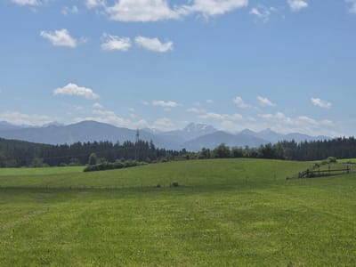 The image captures a serene rural landscape under a bright blue sky dotted with fluffy white clouds. The foreground is dominated by a vast, vibrant green meadow, suggesting a well-maintained pasture or field. A simple wooden fence, partially visible on the right side of the frame, delineates the edge of the field. In the middle ground, a gentle slope leads up to a dark line of coniferous trees, forming a dense forest that stretches horizontally across the image. A tall, slender industrial tower, possibly a telecommunications mast, stands prominently against the tree line, breaking the natural uniformity. Beyond the forest, a range of majestic mountains forms the backdrop, their peaks softened by atmospheric haze and some snow patches, hinting at a higher altitude or a cooler climate. The overall impression is one of natural beauty and tranquility, typical of the Bavarian countryside. This scene is located in the vicinity of Kraftisried, Germany, a region known for its picturesque rolling hills and mountain vistas.