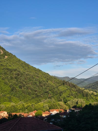 This is a landscape photograph taken in Lesidren, Bulgaria, featuring a view of a verdant, tree-covered mountain slope leading down to a small village with red-tiled roofs. The image is oriented vertically, with the sky occupying the left side and the mountain and village on the right. Wispy, light gray clouds stretch across the bright blue sky.
The mountain is densely covered with lush green trees, suggesting a warm season. The village buildings are nestled among the trees and at the base of the mountain. The sunlight casts shadows, indicating it is likely late afternoon or early evening. The scene evokes a sense of peacefulness and natural beauty. No people or specific objects are clearly identifiable, other than the general elements of nature and human settlement. There is no visible text in the image.