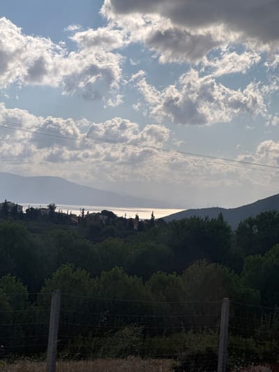 The image depicts a scenic view of a body of water, likely a lake or a sea, bordered by hills and mountains in the distance. In the foreground, there is a dense forest of green trees, with a wire fence running horizontally across the bottom of the frame. Scattered among the trees on a gentle slope overlooking the water are several buildings, appearing to be houses or small structures, with red-tiled roofs. The sky above is filled with a mix of white and gray clouds, with sunlight filtering through, creating a bright sheen on the water. The overall impression is one of a tranquil, rural landscape. The location is identified as the Municipal Unit of Opountioi, Greece. There are no people visible in the image.