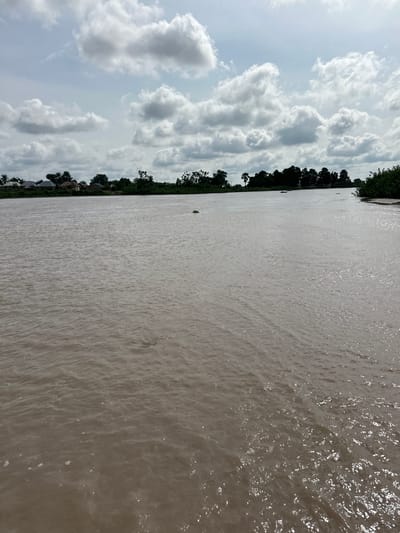 This image depicts a wide, murky river flowing through the outskirts of Kunini, Nigeria. The water is a light brown color, with gentle ripples reflecting the cloudy sky above. Along the distant left bank, a small village with several homes and lush green trees is visible. The right bank is densely wooded with trees and vegetation. The sky is filled with large, white, and gray cumulus clouds. There are no people or animals clearly visible in the image, though a small, dark object, possibly a floating log or debris, can be seen in the middle of the river. The scene suggests a rural, possibly tropical, environment.