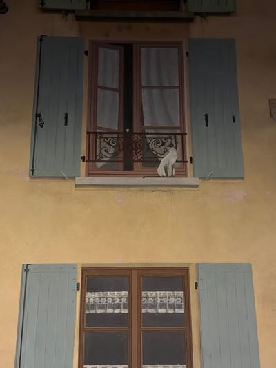 A trompe-l'œil mural depicts two windows on a yellow facade. The upper window is open, with light blue shutters on either side and lace curtains visible inside. A white cat figurine is perched on the windowsill, looking to the left. The lower window is closed, with light blue shutters and lace curtains visible within its panes. This mural is located at 3 Rue du Cirque, Vienne, France.