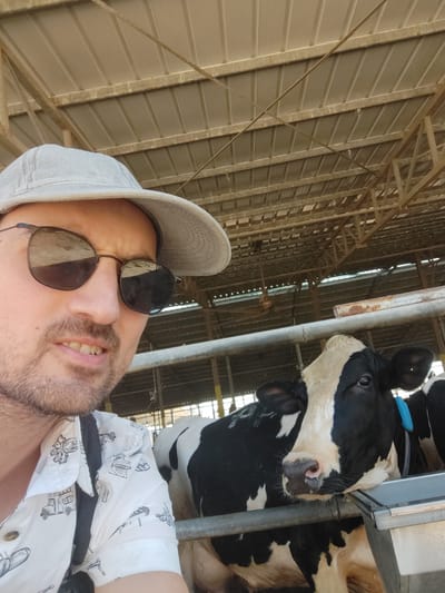 The media file is a selfie taken by a person wearing a white patterned shirt, sunglasses, and a grey baseball cap. The person has facial hair and is smiling. They are positioned in the foreground, with their head tilted. Behind the person, a black and white cow is visible, looking towards the camera. Another cow is partially visible in the background. The setting appears to be a barn or livestock enclosure, with metal beams and a corrugated metal roof visible. The overall scene suggests a casual interaction between the person and the animals. The lighting suggests it is daytime. The location is identified as Yoav Regional Council, Israel. No visible text is present.