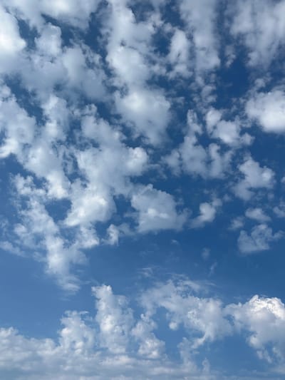 The media file shows a close-up, vertically oriented view of a blue sky filled with fluffy, white cumulus clouds. The clouds are varied in size and shape, with some appearing dense and others more wispy. Sunlight illuminates the tops of the clouds, creating bright highlights and casting subtle shadows within their forms, indicating it is daytime. The clear blue sky peeks through the gaps between the clouds. There are no people, objects, or text visible in the image. The overall impression is one of a bright, pleasant, and clear day. The location context provided is Ahtopol, Bulgaria, suggesting this is a sky view from that region.