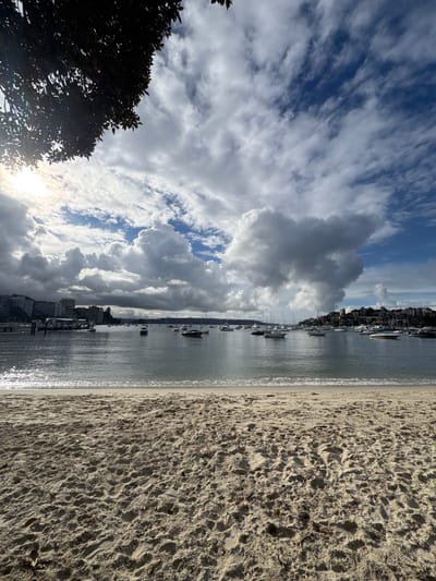 The image depicts a view of a harbor in Sydney, Australia, likely from a beach. In the foreground, the textured sand of a beach occupies the lower portion of the frame, showing footprints and scattered debris. The middle ground features the calm water of the harbor, reflecting the sky. Numerous sailboats and smaller motorboats are moored in the water, some with their masts visible. Along the distant shoreline, buildings of varying heights, including apartment complexes and other structures, are visible, set against a backdrop of green hills. The sky is dramatic, with a mix of bright sunlight breaking through heavy, dark clouds and patches of blue sky. A large, dark tree branch with leaves partially obscures the upper left corner of the image, with the sun's rays filtering through it. The overall impression is of a somewhat overcast but bright day in a scenic Sydney harbor.