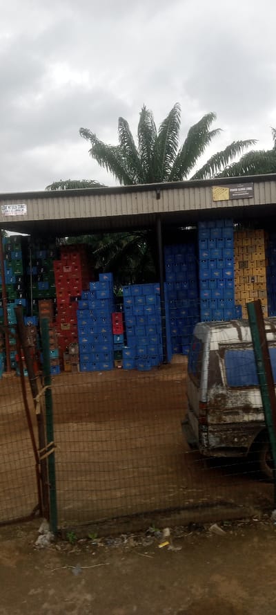 This image captures an outdoor storage area in Ezinifite, Nigeria, under an overcast sky. The foreground features a low wire mesh fence, secured to dark green and dark brown posts with light-colored twine. The ground immediately beyond the fence is muddy, with scattered small debris including white plastic and a yellow wrapper, alongside sparse green sprouts. In the midground, a heavily soiled, light-colored panel van or minivan, possibly white, is parked facing right, displaying significant mud and dirt accumulation, particularly on its lower body and rear; its rear window is obscured by blue material. The background presents a large, open-sided structure with a grey corrugated metal roof, beneath which massive quantities of plastic crates are stacked high. These crates are predominantly blue, interspersed with prominent sections of red, yellow/beige, and green crates. Two signs are affixed to the roof's fascia: one on the left reading "LDR MTECH CONST AND ALUMINUM" and a phone number, and another on the right stating "STARBO GLOBAL LINKS" with additional text "MAJAC FOSTERING SYSTEMS". Behind and above the structure, multiple large palm trees with dark green fronds are visible against a bright, uniform light grey sky. No people are visible, and no actions or interactions are depicted within the scene.