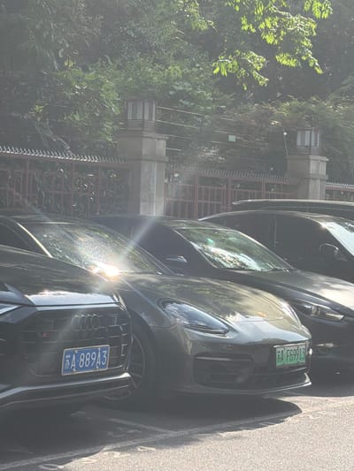 The image shows two cars parked on a street next to a gate with foliage in the background. The license plate of the front car reads "苏A·889A3", and the license plate of the car behind it reads "苏A·F69913". The "苏" character indicates the cars are in Jiangsu province. The image appears to be taken in an urban area. Based on the license plates and architectural style of the gate, the location is likely Xuanwu District, China.