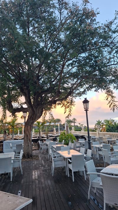The image displays an unoccupied outdoor dining terrace in Costa Adeje-playas Del Duque, Spain, illuminated by the light of either dawn or dusk, evidenced by the sky's blend of pink, orange, yellow, and blue hues. A large, mature tree with a textured trunk and green foliage, including discernible dry seed pods, is centrally positioned on dark wooden decking. This decking is furnished with multiple square and rectangular tables featuring light-colored, reflective surfaces, surrounded by light-colored, wicker-style chairs. Reflections of the colorful sky are visible on the tabletops. An ornate black lamppost with a decorative finial stands on the right side of the terrace, and another is partially visible behind the tree on the left. Beyond a white balustrade marking the terrace edge, a landscaped area with numerous palm trees and other green vegetation is visible. No individuals are present within the scene.