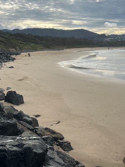 This image depicts a beach scene in Coffs Harbour, Australia, under an overcast sky. The foreground is dominated by dark, wet rocks lining the edge of a sandy beach. The sand itself appears damp near the water's edge, with the tide leaving a wet mark. Further up the beach, the sand is drier and marked with small footprints.
In the middle ground, two individuals and a dog are walking along the shore, their figures small against the vastness of the beach. The ocean meets the sand with gentle waves. In the background, a dense line of trees and vegetation covers a hillside, leading up to rolling hills and mountains. Some scattered buildings are visible on the distant hillsides, suggesting a coastal town. The clouds in the sky are heavy and gray, with patches of lighter gray and white, indicating diffused light rather than direct sunlight. The overall impression is a calm, slightly moody beach environment.