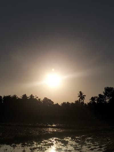 A serene sunrise casts a warm glow over a rural landscape in Lhokkulam, Indonesia. The sky transitions from a deep charcoal at the top to a soft, hazy yellow near the horizon, illuminated by the sun's bright orb. A dense line of silhouetted palm trees and other foliage forms a dark band across the middle ground, their shapes softened by the diffused light. In the foreground, a flooded field or paddy reflects the sunlight, with patches of water and dark earth creating a textured, shimmering surface. The overall impression is one of tranquility and the quiet beauty of dawn in a tropical setting.