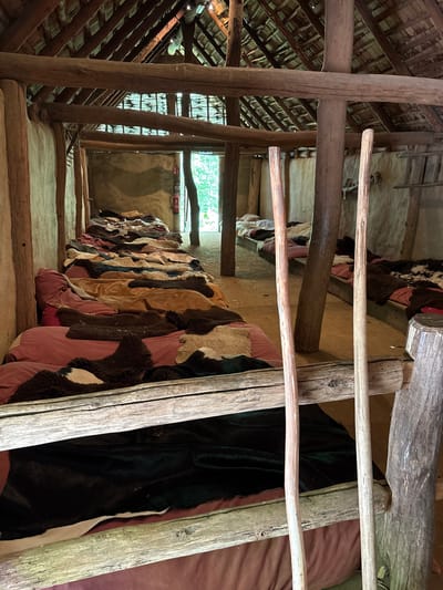 The image shows the interior of a historical building, possibly a barn or storage area. The location is the Eindhoven Museum in Eindhoven, Netherlands, as this site houses historical reconstructions.
The dominant feature is a row of animal hides, possibly cow or other livestock skins, hanging along a wall. The hides display various colors and patterns - including brown, white, black, and patched patterns - and are draped over what appears to be a padded or filled backing in a reddish-brown color.
The structure of the building is visible, consisting of rough-hewn wooden posts and beams forming the walls and roof. The roofing material appears to be thatched or constructed from natural materials. There is a window visible in the distance, allowing some natural light into the space. The general atmosphere is rustic and suggestive of an agricultural or historical context.