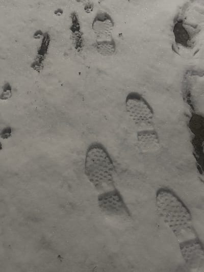 The image displays a snow-covered ground surface in Visp, Switzerland, featuring various imprints. Multiple human shoe prints are visible, characterized by a uniform sole pattern of small, circular indentations across the entire tread and heel. These prints are oriented in different directions, indicating human passage. Several smaller, distinct animal paw prints, consistent with those of a canid, are also present, primarily concentrated in the upper-left section of the frame and interspersed with the shoe prints. Two elongated, linear scuff marks or disturbances are observable within the snow in the upper-left area. Sections of dark, textured material, identified as concrete or asphalt, are exposed along the right edge and beneath some snow, suggesting a paved pathway or sidewalk.