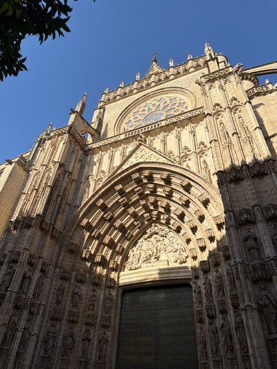 The image shows a low-angle view of the ornate facade of a large Gothic cathedral, likely Seville Cathedral in Spain, bathed in strong, direct sunlight. The sky is a clear, vibrant blue, suggesting a bright, sunny day.
The cathedral's architecture is characterized by intricate stonework, including elaborate carvings, pointed arches, and multiple levels of detailed ornamentation. A large rose window with stained glass is visible on the upper left side of the facade. Sunlight casts sharp shadows across the stone, highlighting the depth and texture of the carvings, which appear to depict figures and scenes. A massive, dark, metal-clad door is visible on the right side of the image, partially in shadow.
The image is oriented with the top of the cathedral towards the left. In the lower left corner, the dark green leaves of a tree or shrub are silhouetted against the bright blue sky, providing a contrast in scale and texture to the monumental stone structure.
The overall impression is one of grandeur and historical significance, with the sunlight emphasizing the detailed artistry and imposing scale of the cathedral. The scene conveys a sense of awe and the passage of time. No visible text is present in the image.