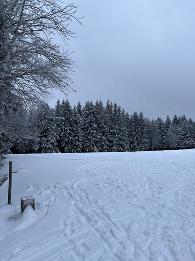 The image presents a snow-covered winter landscape in Le Hohwald, France, under an overcast sky. The foreground consists of a field blanketed in deep snow, showing multiple parallel ski tracks and various boot or snowshoe impressions indicating recent activity. On the far left, a vertical wooden post with a horizontal cross-member is partially embedded in the snow. Adjacent and slightly to its right, a low, square object with a reddish-brown top surface is partially visible, protruding from a triangular mound of snow. The midground is dominated by a dense, linear row of snow-laden evergreen trees, primarily fir or spruce, forming a dark forest boundary across the scene. In the upper left quadrant, the snow-covered bare branches of a large deciduous tree extend into the frame. The background is a uniformly light grey, featureless sky. No individuals are present.