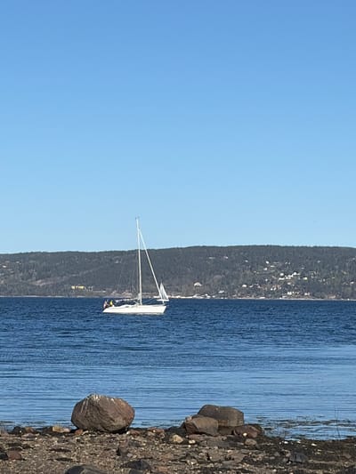 A sailboat floats on the fjord near Nærsnes, Norway. The water has small ripples. A forested shoreline is visible in the distance. A rocky shoreline is in the foreground. The sky is clear.