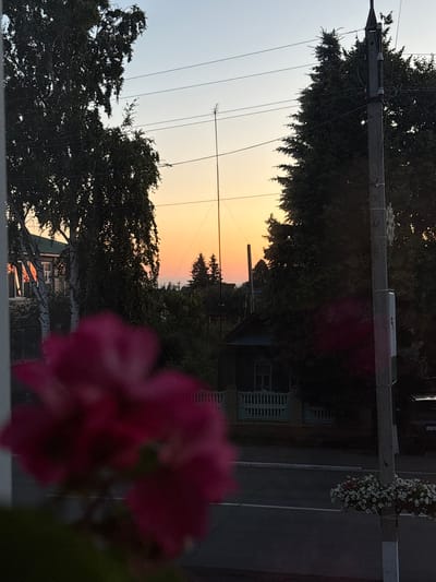 The image depicts a sunset scene in Alexeyevskoye, Russia, viewed through a window with a blurred pink flower in the foreground. The sky displays a gradient of soft orange and yellow hues. Tall, dark green trees dominate the middle ground, framing a small, traditional house with a blue-trimmed window and a white picket fence. A power pole stands prominently on the right side of the frame, with wires stretching across the sky. In the distance, the silhouette of more trees is visible against the fading light. A street runs horizontally across the lower portion of the image, with a flower planter attached to the power pole. The overall impression is one of a quiet, rural evening.