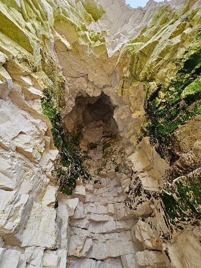 The image displays a vertical view of a natural chalk cliff formation, consistent with the coastal geology of Thanet, United Kingdom. The predominant features are stark white and off-white fractured chalk faces, exhibiting angular, blocky segmentation and visible stratification. A central, irregular aperture forms a dark cave entrance, recessed into deep shadow, suggesting interior depth. Patches of vibrant green moss and algae cling to various moist rock surfaces, appearing in distinct patches and streaks on the cliff walls. A small segment of light blue sky is visible at the extreme top of the frame. The scene is devoid of human activity, animals, or man-made structures, depicting an undisturbed natural environment under natural light conditions.