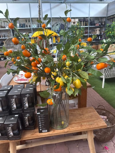 This image depicts a retail display of artificial citrus fruits, specifically oranges and lemons, on branches within a clear glass vase. The arrangement is placed on a rustic wooden table. In the foreground, there are several black boxes labeled "Anna's Collection" and "Portable Light," suggesting these are also products for sale. Behind the table, there is a glimpse of shelving units stocked with various decorative items, indicating an indoor retail environment. The background includes a yellow umbrella and green artificial turf, suggesting a store that might specialize in home decor or garden items. The overall scene is well-lit, with the focus on the vibrant artificial fruits. The specific location of "Tuk, Netherlands" is not discernible from the visual information in the image.