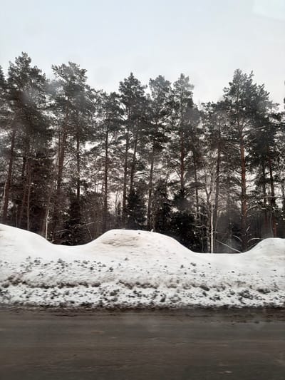 The image displays a winter landscape, likely photographed from a moving vehicle in Yus'ki, Russia. The foreground features a dark, wet, and partially reflective road surface, appearing somewhat blurred. Immediately behind the road, a substantial snowdrift or snowbank runs horizontally across the frame. This snowbank is composed of multiple undulating mounds of white snow, with a distinct lower layer of dirty, grey, and brown snow and debris accumulated along its base, adjacent to the road. The midground and background are dominated by a dense forest, primarily consisting of tall conifer trees with dark green foliage and visible reddish-brown trunks. Interspersed among the conifers are a few deciduous trees with bare branches, particularly noticeable in the central area. The forest floor is covered in snow. The sky above the treeline is uniformly light grey and overcast, indicating a dull, winter day. No individuals or man-made structures other than the road and distant forest are visible.