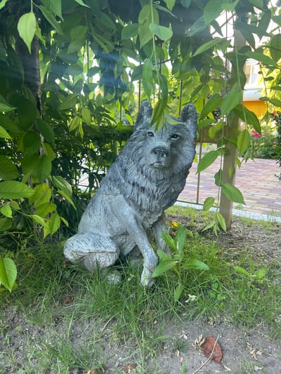A stone statue of a wolf sits in a grassy area next to a tree. The wolf statue is gray and appears to be realistic in its depiction. It is positioned in a seated pose, facing forward. The tree has green leaves and its trunk is visible to the left of the statue. In the background, there is a paved area with a patterned surface, a light-colored fence, and some buildings, one of which is yellow and has windows. The scene is outdoors, with natural light filtering through the leaves. There are no people visible in the image. The location is the city of Dubăsari town council, Moldova.