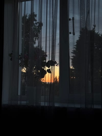 The image is a photograph taken from inside a room looking out through a window at sunset. The window is covered by sheer curtains, which are partially obscuring the view. Through the curtains, the silhouette of trees and a potted plant can be seen. The sunset is visible in the distance, casting an orange glow. The image is dark, with the light of the sunset providing the primary illumination. It is not possible to determine the specific location within Alexeyevskoye, Russia from the image alone.