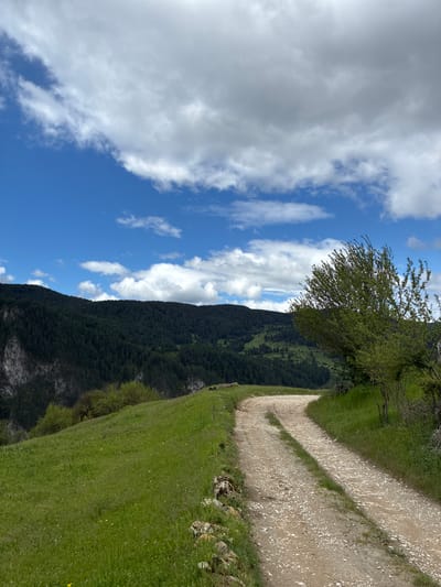 The image shows a landscape, likely a mountain scene. A dirt road with visible gravel runs along a green grassy hillside. To the left of the hillside is a densely forested mountain range. Beyond the mountain, the sky is blue with scattered white clouds. The image is taken on its side and rotated vertically. Based on the prompt, this location is in Giovren, Bulgaria, but that information is not discernible within the image itself.