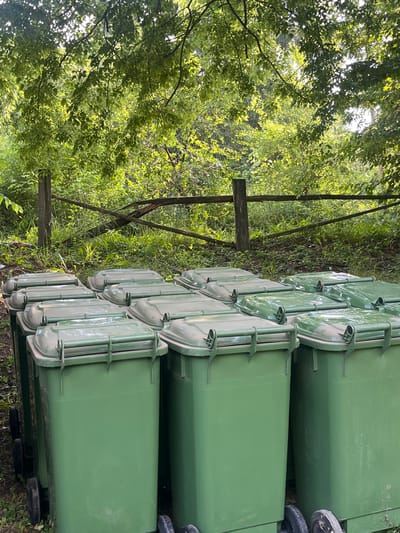 The scene captures an outdoor area in the city of Sremski Karlovci Municipality, Serbia, featuring a collection of numerous identical, dark green, wheeled waste bins. The bins, equipped with hinged lids and black wheels, are arranged in parallel rows on a surface composed of dirt and sparse vegetation. In the mid-ground, a rudimentary wooden fence, constructed from two horizontal logs supported by a single vertical post, spans across the frame. Beyond the fence, the background is dominated by dense, vibrant green foliage and trees, indicative of a wooded or heavily vegetated environment. Sunlight filters through the leaves in the upper portion of the image, creating bright highlights. No individuals are visible, and no actions or interactions are depicted.