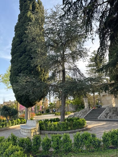 A vertical, eye-level outdoor shot shows a landscaped garden in Ragusa, Italy. A tall, dark green cypress tree on the left contrasts with a larger tree with lighter green foliage in the center. To the right, a stone staircase with a balustrade leads upwards, flanked by manicured hedges and a gravel path. Further in the background, other trees and flowering plants are visible, adding depth to the scene. The sky is partially visible through the trees, showing hints of blue and white. Two people are seen standing near the top of the staircase.