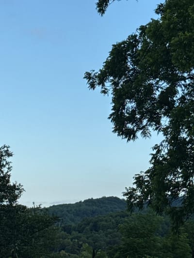 This is an outdoor, vertical, medium-shot photograph taken from a slightly low angle. The scene depicts a lush, forested hillside beneath a pale blue sky. In the foreground, dark green foliage from trees frames the left and right sides of the image, with the leaves appearing slightly blurred, suggesting movement or a shallow depth of field. The center of the image is dominated by rolling hills covered in dense, dark green trees, with the texture of individual tree canopies visible. The sky is clear and a soft, even blue, with no visible clouds. The overall lighting suggests it is either early morning or late afternoon. The image is devoid of any human presence or man-made structures. The location is identified as the city of Akydra, Abkhazia.