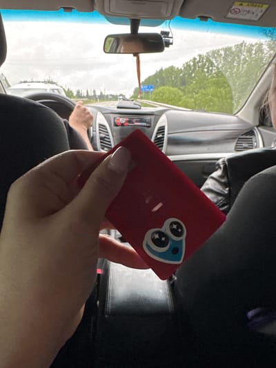 A view from inside a car, likely the driver's seat. The dashboard and steering wheel are visible, with a hand holding a red object with a cartoon-like design. The view through the windshield shows a road and trees, suggesting a drive in or near Kamennyi Kliuch, Russia.