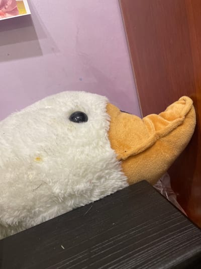 A plush toy goose with white and orange features is lying on a dark surface, possibly a shelf or table. The goose's head is visible, with a black eye and an orange beak. Behind the goose, a wall is painted a light purple color. To the right of the goose, a wooden surface, possibly furniture, is visible. The image appears to be taken indoors, in a residential setting. There is no discernible location information within the image to suggest it is in the city of ЖК «Борисоглебское», Russia.
