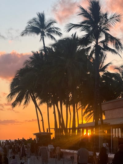 The image captures a sunset in Honolulu, Hawaii. Silhouetted palm trees dominate the foreground, obscuring the details of the crowd gathered along what appears to be a beach or promenade. The sky is a mix of orange and pink hues, with the setting sun creating a bright glow between the trees. There are people and furniture on the right side of the photo.