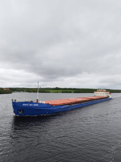A blue cargo ship with "Волго-Дон 5010" written on its bow travels on a body of water, likely a river or lake, near Bol'shoi Dvor, Russia. The ship has a series of orange cargo covers on its deck. The sky is overcast with gray clouds. Trees and buildings are visible in the background on the shoreline. The water is dark and rippled.