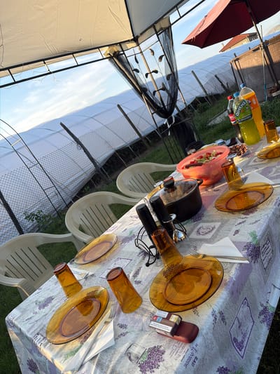 The image depicts an outdoor table setting, likely for a meal or gathering. The table is covered with a lavender-themed tablecloth, featuring images of lavender sprigs and ornate borders. Several amber-colored glass plates and tumblers are arranged on the table, along with cutlery and napkins.
In the center of the table, there's a large pink bowl filled with a salad or fruit mixture, and a black pot with a lid. Two bottles of beverages are also visible on the table, one with a yellow liquid and a label that includes the word "QUEENS" and Cyrillic text, suggesting a Bulgarian context.
The scene appears to be set in a backyard or garden, with green grass visible around the table and chairs. In the background, there are white structures that resemble greenhouses or tents, possibly indicating a rural or semi-rural location. The lighting suggests it is daytime, with sunlight casting shadows on the table.
Visible text on the bottles includes "QUEENS", "ЯБЪЛКА" (Apple in Bulgarian), and "2. ОПАКОВКА" (2nd package in Bulgarian). There's also text on a small brown object on the table that appears to be related to a French brand, with words like "BAU", "DESVSIRDE", "ROYALE ANGLAISE", "GIRAUD FILS", and "PARIS".
The overall impression is one of a casual outdoor meal in a pleasant, sunny setting. The arrangement of food and drinks suggests preparation for a social gathering. The location context provided indicates this scene is in Slivo Pole, Bulgaria.