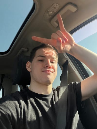 A young adult male is depicted in a selfie taken inside a vehicle. He has fair skin, short dark hair, and stubble, wearing a dark short-sleeved t-shirt. He looks directly at the camera with pursed lips and slightly raised eyebrows. His right hand is raised above his head, forming a "rock on" gesture with the index and pinky fingers extended. The vehicle's interior features a light-colored overhead console with controls, a grab handle, and a dark seatbelt crossing the subject's chest. An open sunroof and a side window reveal a clear blue sky, indicating bright daylight outdoors. Strong shadows are cast across the subject by direct sunlight. The scene is located within the interior of a vehicle; no specific identifying features of Benningen, Germany, are visible within the image to pinpoint the exact location.