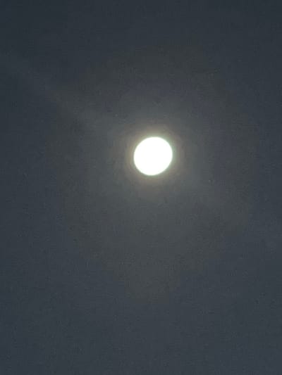 This media file captures a celestial scene at night, likely in Bagamoyo, Tanzania. The primary subject is a bright, full or nearly full moon, prominently centered against a dark sky. The moon appears as a luminous white disc, radiating a soft glow that subtly illuminates the surrounding atmosphere, suggesting either thin cloud cover or atmospheric haze. No distinct craters or features are visible on the moon's surface due to its intense brightness and probable photographic conditions, giving it a somewhat overexposed appearance.
The sky, forming the background, is a uniform dark gray, indicating nighttime. There are no stars, planets, or other celestial bodies visible, nor are there any discernible land features or man-made structures. The overall impression is one of peaceful solitude. The absence of sharp edges around the moon's glow further emphasizes the atmospheric conditions. There is no visible text or specific activity taking place; the image is a simple observation of the moon in the night sky. The crops provided confirm the main subject and the dark, featureless background, offering no new visual information beyond the original image.