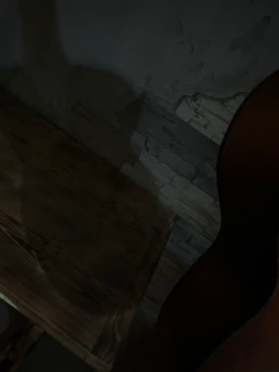 The image displays a close-up view of a person's leg, with skin tones appearing dark due to low lighting conditions. The background consists of a textured wall, possibly made of stone or a similar material, and a wooden surface, likely a table or bench. The scene is dimly lit, creating shadows that obscure some details of the environment. The location in Slov'yanoserbs'k, Ukraine, is not discernible from the visual information provided in the image. There are no other individuals or actions depicted.