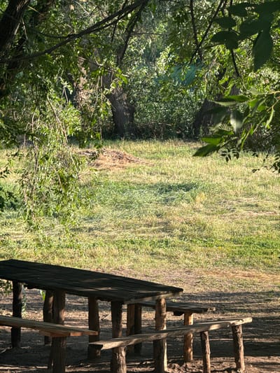 The image depicts a rustic wooden picnic table and benches in a natural, outdoor setting. The table and benches are constructed from rough-hewn logs and planks, giving them a weathered appearance. The ground beneath the table is sandy or dirt, with dappled sunlight and shadows cast by overhead foliage. Behind the picnic area, a grassy field stretches into the background, transitioning into dense green foliage and trees. In the distance, the vegetation appears thick and overgrown, suggesting a wild or park-like environment. The lighting indicates it is daytime, with the sun casting long shadows. The image does not contain any people or animals. The setting appears to be a quiet, secluded spot. This location is identified as being in Baidivka, Ukraine, a rural village known for its natural landscapes and recreational areas.