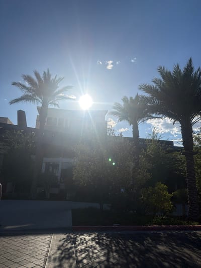 The image depicts a sunny outdoor scene in what appears to be a city. Palm trees are visible on the left and top, partially obscuring a building in the background. The sun is shining brightly, creating lens flare and glare. A sidewalk with a patterned surface runs along the right edge of the image, casting shadows. Based on the presence of palm trees and the arid environment, it is likely the city of Las Vegas, United States of America. There are no people or interactions visible in the image.