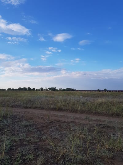 The image depicts a vast, flat landscape under a bright blue sky with scattered white clouds. In the foreground, a dirt path cuts through dry, sparsely vegetated grassland. In the middle ground, a line of trees runs horizontally across the frame, with a few distant structures visible amongst them. A long train with dark red cars is traveling along a track in the distance, extending across the middle horizon. The overall environment suggests a rural or steppe-like setting.