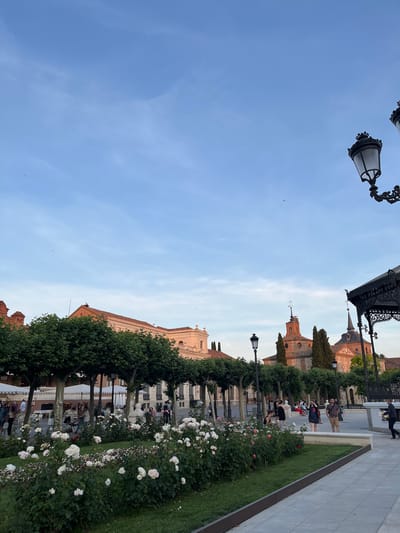 The image depicts a view in Alcalá de Henares, Spain, looking toward the Catedral-Magistral de Alcalá de Henares. The sky is light blue with some cirrus clouds. In the foreground, there's a sidewalk with a small patch of green grass. A flowerbed of white roses runs along the edge of the sidewalk. People are walking and sitting in the space behind the flowerbed. A row of trees lines the path. In the background, the Catedral-Magistral de Alcalá de Henares is visible. There are old-fashioned street lamps on the left side of the image.