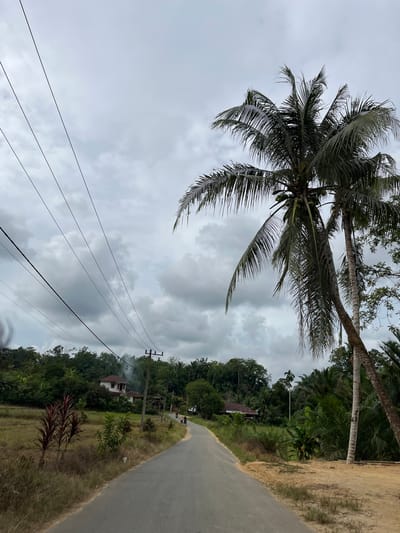 The image depicts a rural road in Sukamulia, Indonesia, under a cloudy sky. A paved road curves into the distance, bordered by dry grass and vegetation on the left, and a dirt path and more lush greenery on the right. Tall palm trees dominate the foreground on the right side of the road. In the background, a white house with a red roof is visible amidst dense green trees on a gentle slope. Power lines stretch across the sky, supported by a utility pole with wires running down the left side of the road. A few figures on motorcycles are seen further down the road, suggesting a sparsely populated area. The overall atmosphere is overcast and humid, characteristic of tropical weather.